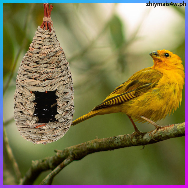 2 ชิ้นทอมือฟาง Birdhouse หญ้า Nest สําหรับนกหลายสีแขวน Resting Place zhiymais4w