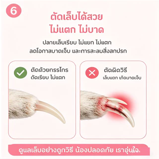 กรรไกรตัดเล็บกระต่าย กรรไกรตัดเล็บสัตว์เลี้ยงกลม หลีกเลี่ยงการตัดด้ายเลือด ใช้งานง่าย