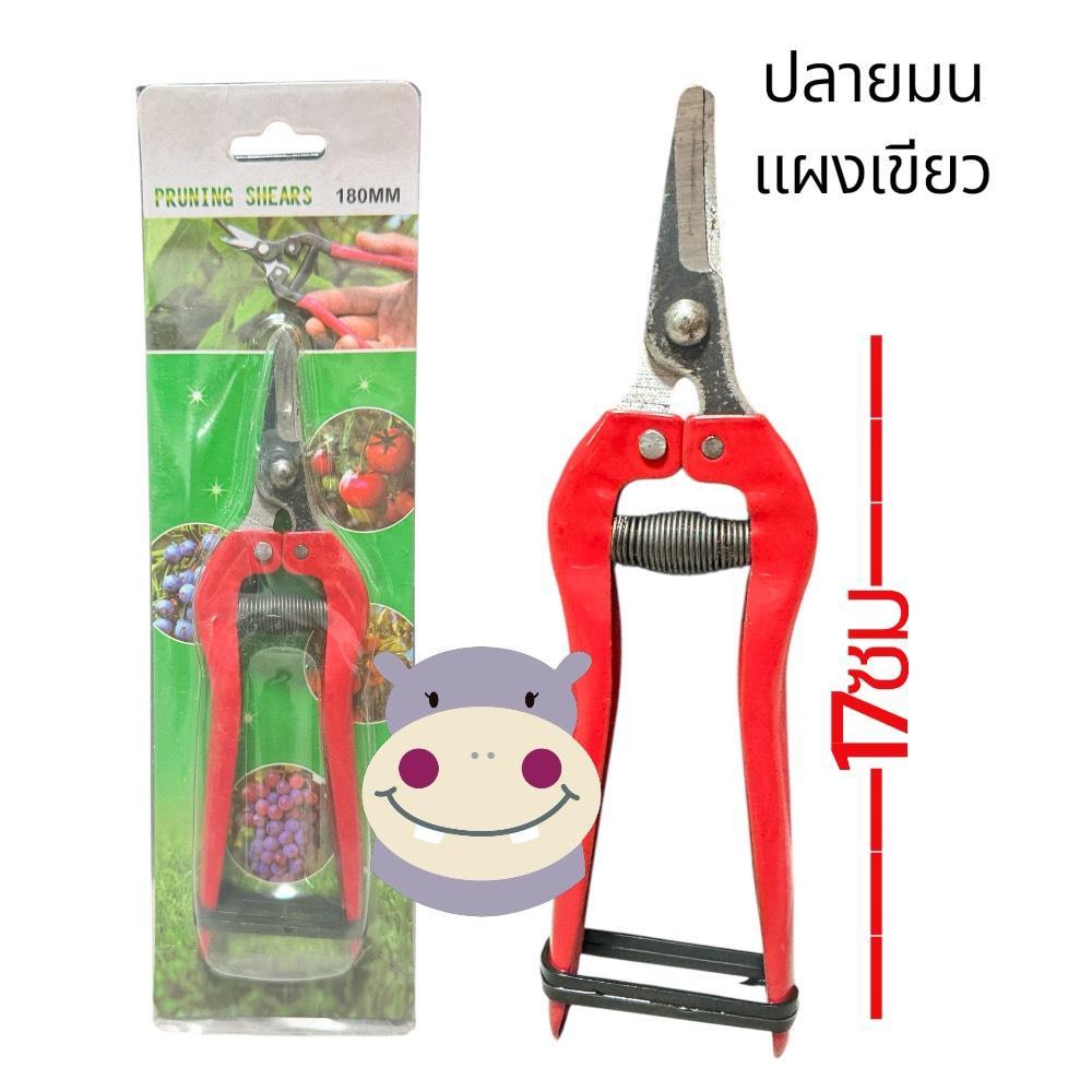 กรรไกรตัดกิ่ง (ยกโหล) 12 ชิ้น กรรไกร 180mm.