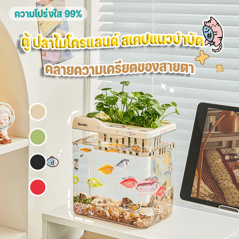 ตู้ปลาเล็กบนโต๊ะ ตู้ปลาไมโครแลนด์สเคป การเลี้ยงปลาผสมปลูกต้นไม้ ตู้ปลาใสขนาดมินิ