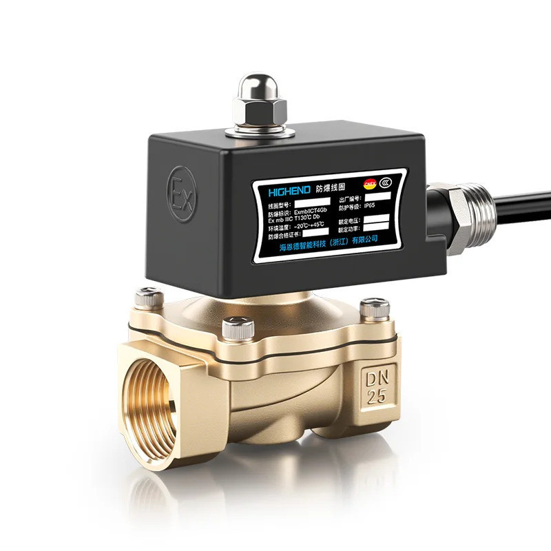 อุตสาหกรรมบรรจุป้องกันการระเบิด Coil 2W Series ทองแดง Solenoid วาล์ว 2W025-08 2W-160-15 2W-250-25 2W