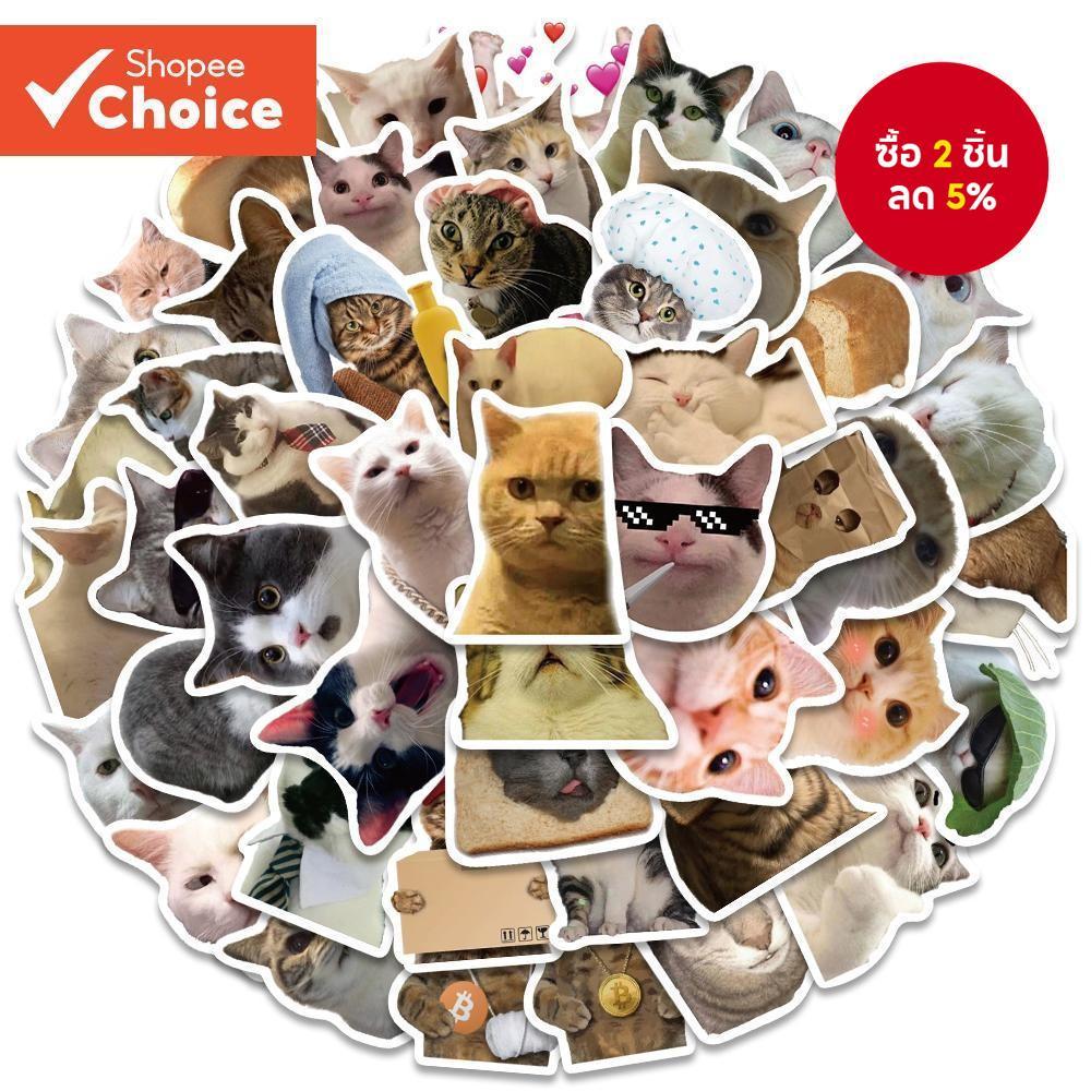 50 ชิ้นแมวตลก Meme สติกเกอร์สําหรับแล็ปท็อปสเก็ตบอร์ดเคสโทรศัพท์รูปลอก