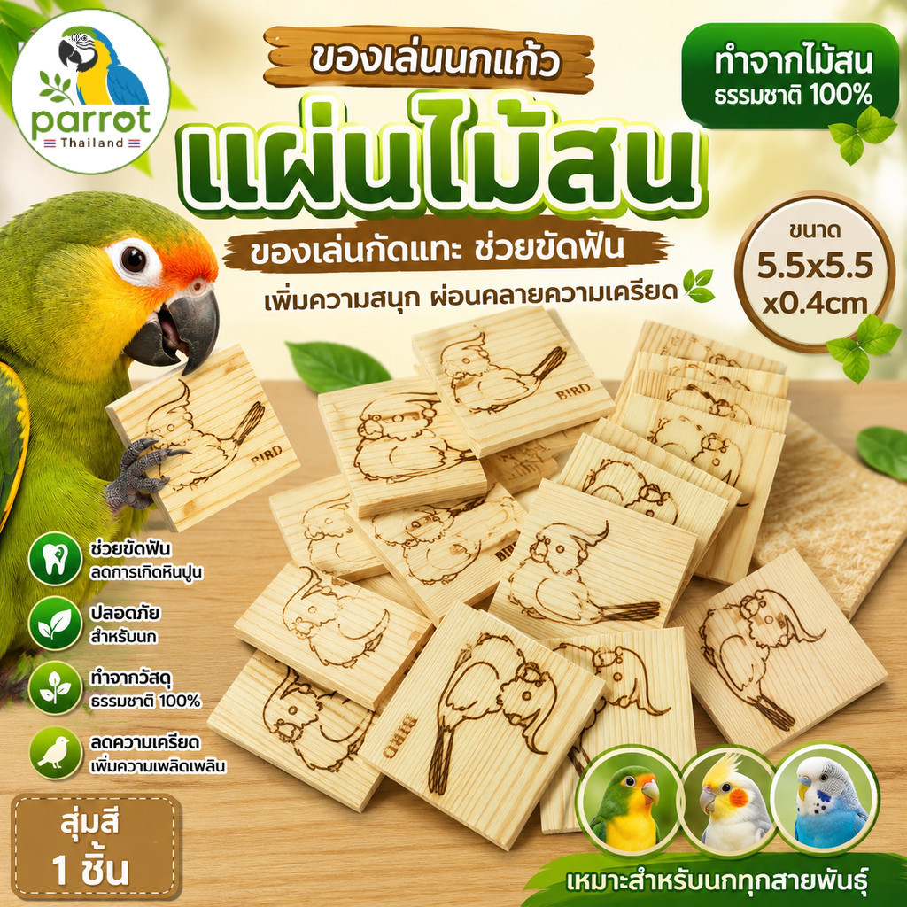 parrot.thailand ไม้แทะนกแก้ว แผ่นไม้สนลับปาก ของเล่นนกแก้วขนาดเล็ก-กลาง ลดพฤติกรรมถอนขน ปลอดภัย 100%
