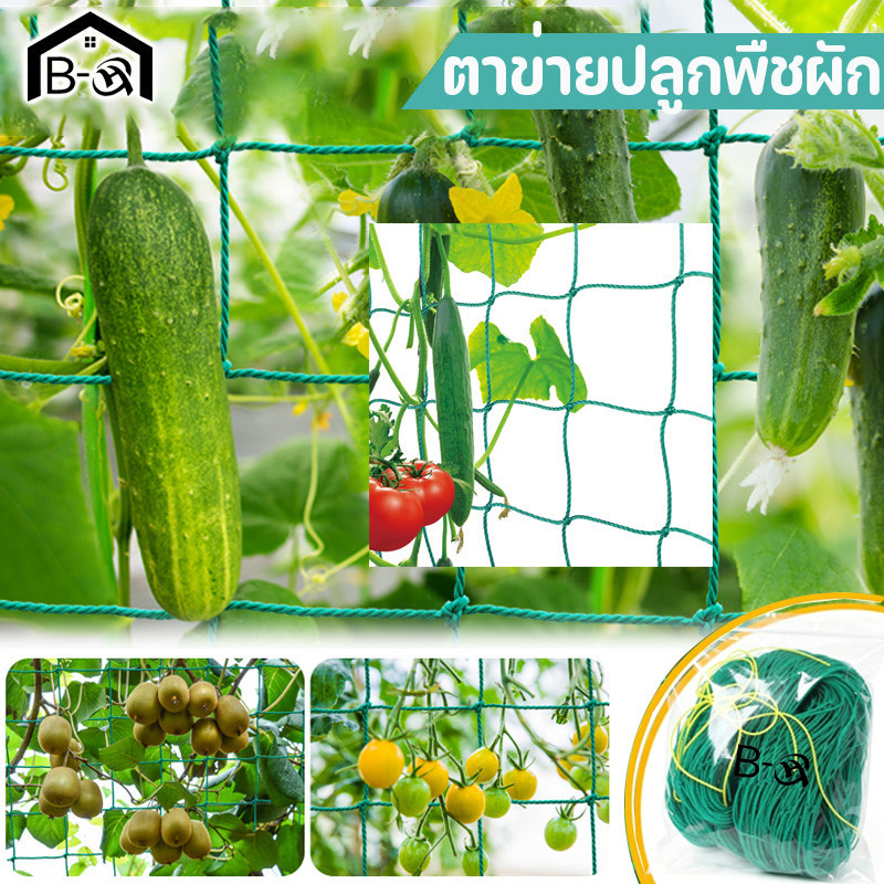 BHQ ตาข่ายปลูกพืชผัก Garden Trellis Netting อวนปลูกผัก คุณภาพดี เน็ตตาข่ายสี่มุม