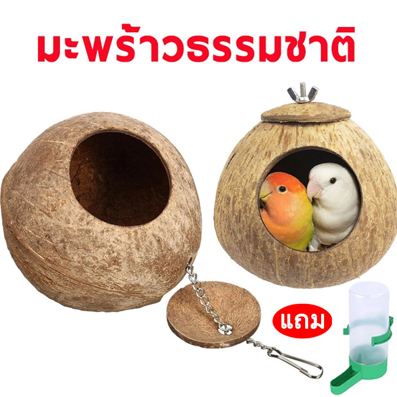 บ้านนกแบบแขวน บ้านกะลา ที่นอนสัตว์เลี้ยง บ้านกะลาชูการ์ไกรเดอร์ บ้านกะลากระรอก ที่นอนกะรอก กะลามะพร้าว
