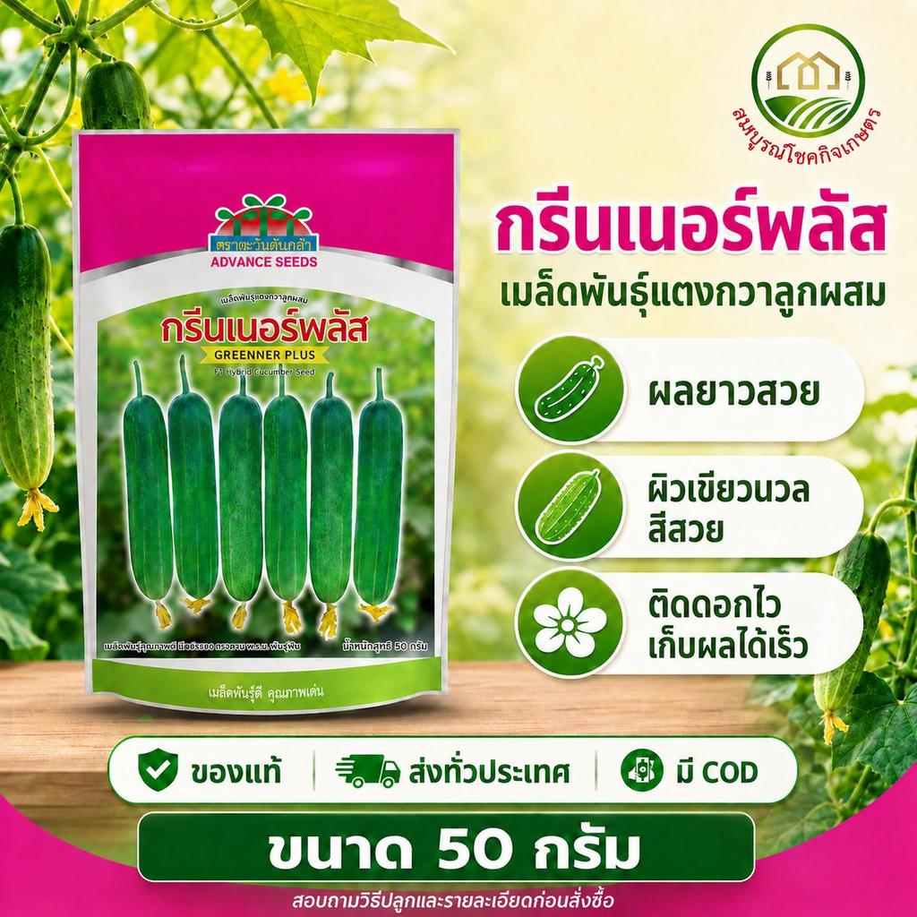 กรีนเนอร์พลัส เมล็ดพันธุ์แตงกวาลูกผสม 50กรัม ตะวันต้นกล้า แตงกวากรีนเนอร์พลัส ผลยาว ลูกสวย ติดไว