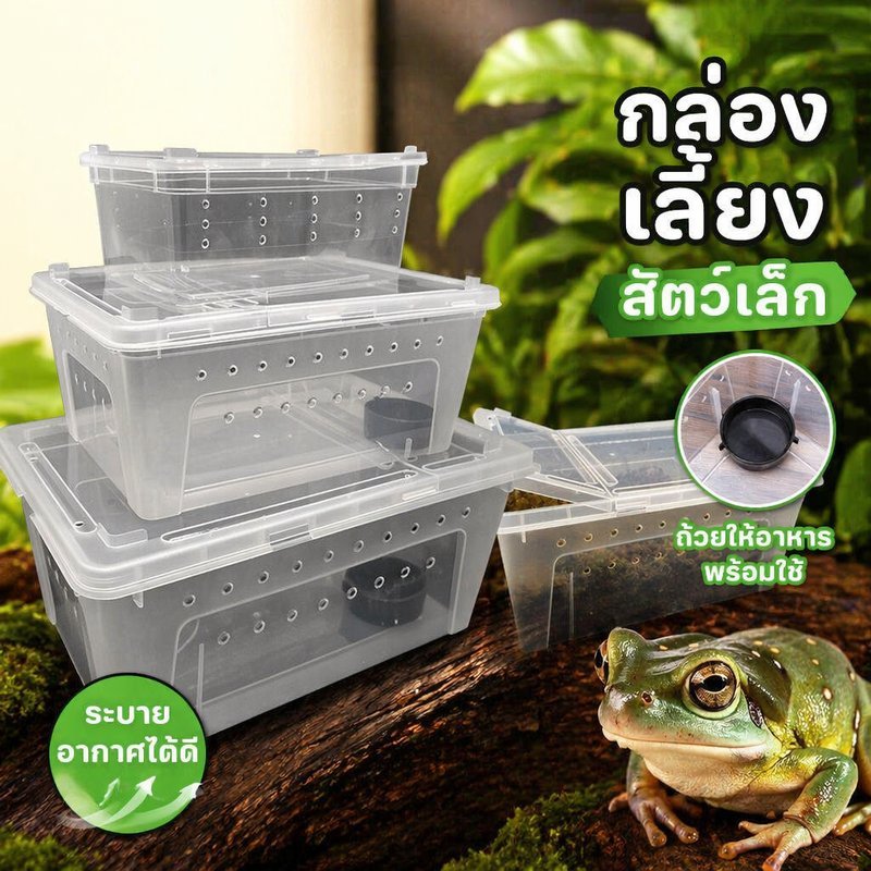 กล่องเลี้ยงสัตว์เลื้อยคลาน กล่องพลาสติก ระบายอากาศ สัตว์เล็ก งู กบ แมงมุม ตุ๊กแก เก็คโค