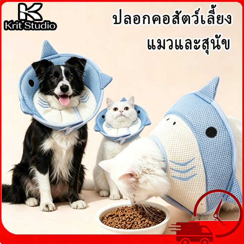 COD 🐱🐶สำหรับแมวและสุนัข ปลอกคอสัตว์เลี้ยง รูปฉลาม นุ่มใส่สบาย ป้องกันเลียแผล ปรับขนาดได้