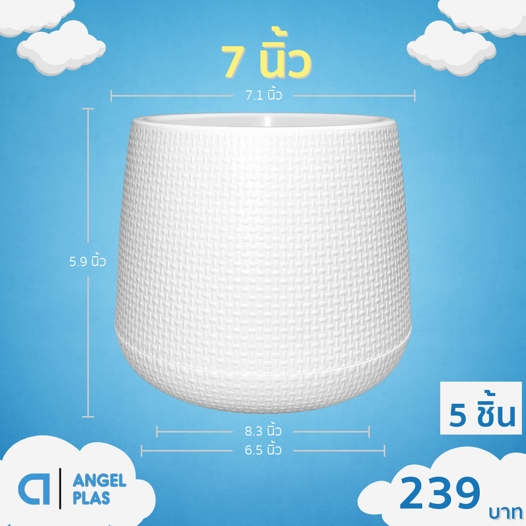 กระถางเบลล่า 5 นิ้วและ 7 นิ้วสีขาวพร้อมส่งในไทย