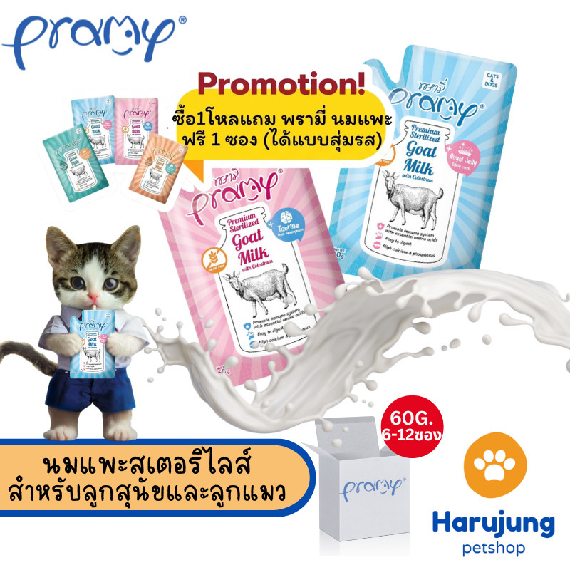 12 แถม 1 [6 -12 ซอง] Pramy พรามี่ นมแพะสเตอริไลส์ สำหรับสัตว์เลี้ยง แบบซอง เกรนฟรี ปราศจากธัญพืช ขนาด 60g