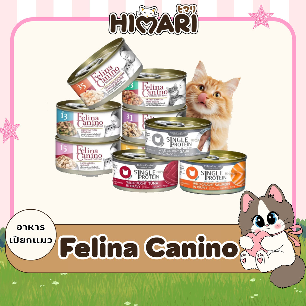 อาหารแมวแบบกระป๋องเฟลิน่า คานิโน่ Felina Canino อาหารเปียกแมว สุขภาพดี ขนาด 70 กรัม ครึ่งโหล (6กระป๋อง)