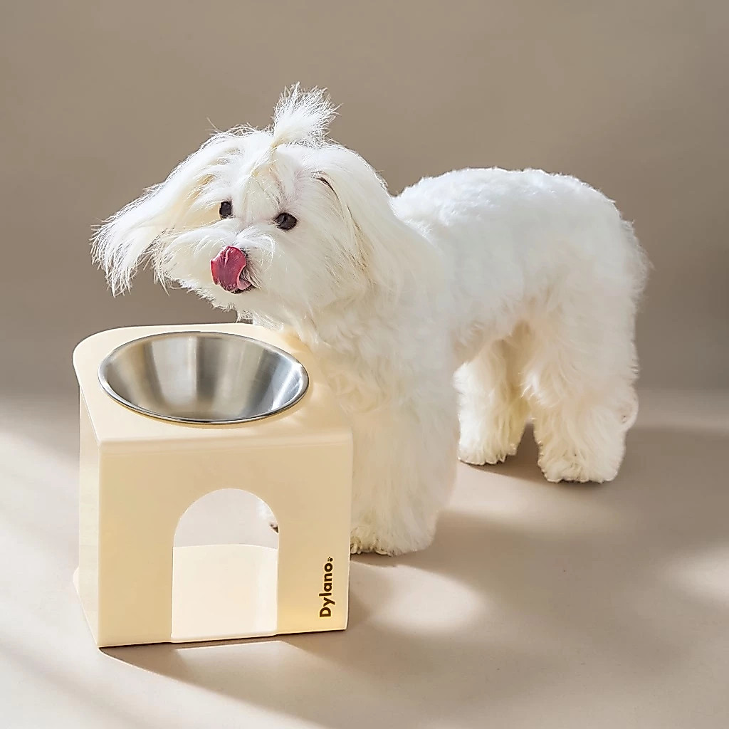 ชามอาหารสัตว์เลี้ยงยกสูงปรับองศา Dylano Elevated Pet Bowl (Size S/M) with Acrylic Stand