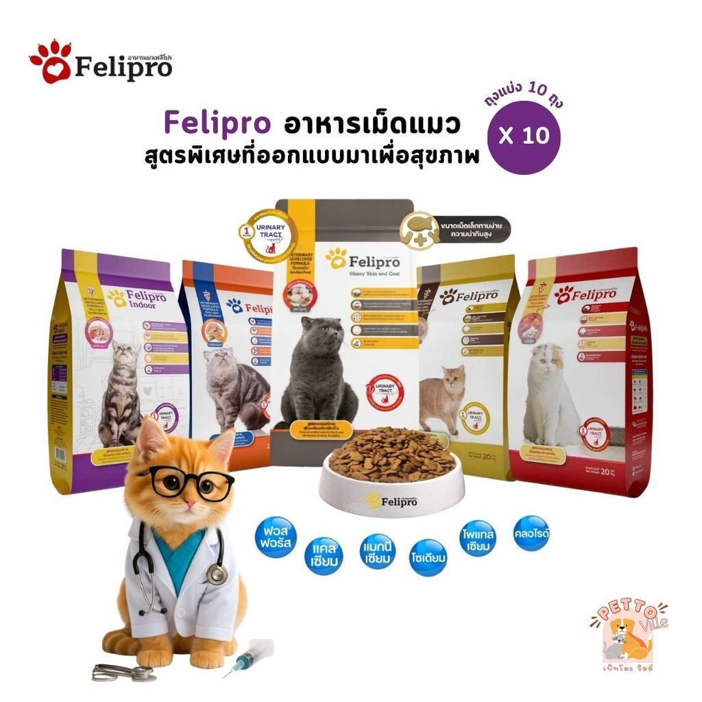 Felipro เฟลิโปร อาหารเม็ดแมว [10 ถุง] สูตรพิเศษที่ออกแบบมาเพื่อสุขภาพที่ดีของแมวทุกสายพันธุ์ ขนาด 1 กิโลกรัม (ถุงแบ่ง)