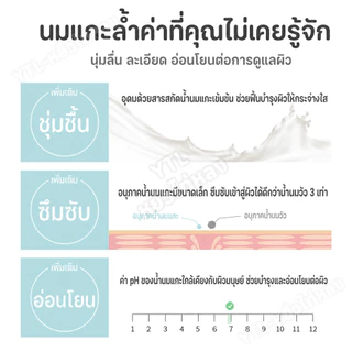 YTL Goat Milk Hand Masks มาส์กมือ มาส์กเท้า น้ำนมแพะ 3D บำรุงและผลัดเซลล์ผิวบำรุงผิวนุ่มชุ่มชื้น