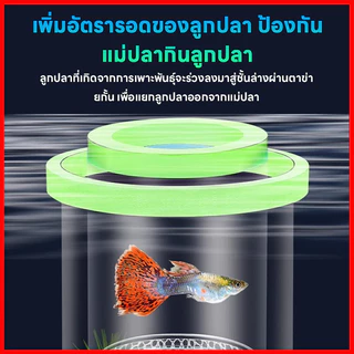 กล่องฟักไข่ปลาที่ลอยได้ กล่องคลอดปลา กล่องฟักลอย ปกป้องไข่ปลา เพิ่มอัตราการรอดชีวิตของปลา เสถียรไม่พลิกด้านง่าย