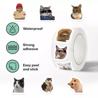 Cat Emoji Graffiti สติกเกอร์สัตว์ 500 ชิ้น สติกเกอร์น่ารัก สติกเกอร์กันน้ำ โทรศัพท์ แล็ปท็อป สำหรับโรงเรียนส่วนบุคคล ติดกล่องน้ำ กระเป๋า DIY สีสันสดใส ไม่หลุดสีง่าย