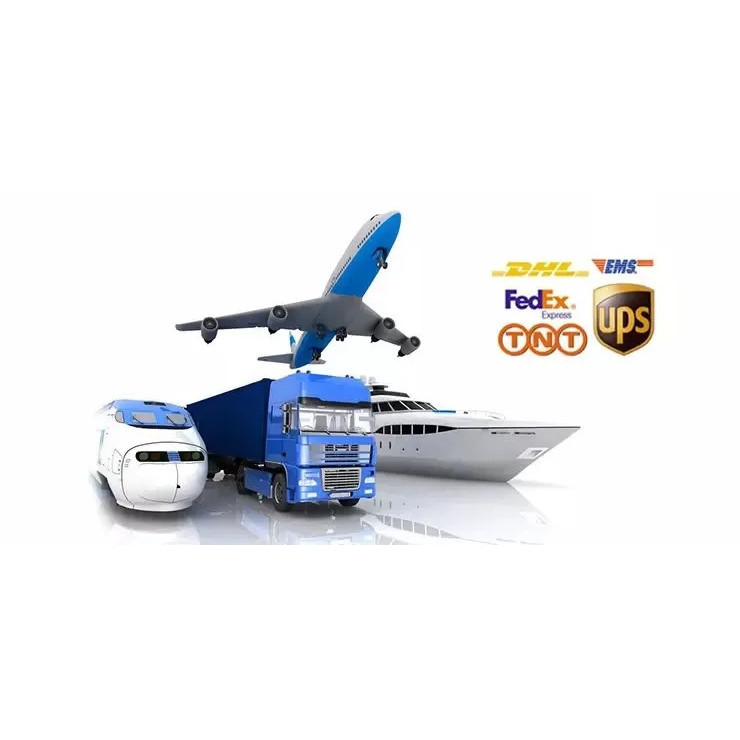 เกรท USA DDP | WaveGarden WG - TS-2/2E/3E ไฟฟ้า - กีตาร์โปร่งสําหรับผู้เริ่มต้น Pro, Studio & Stage