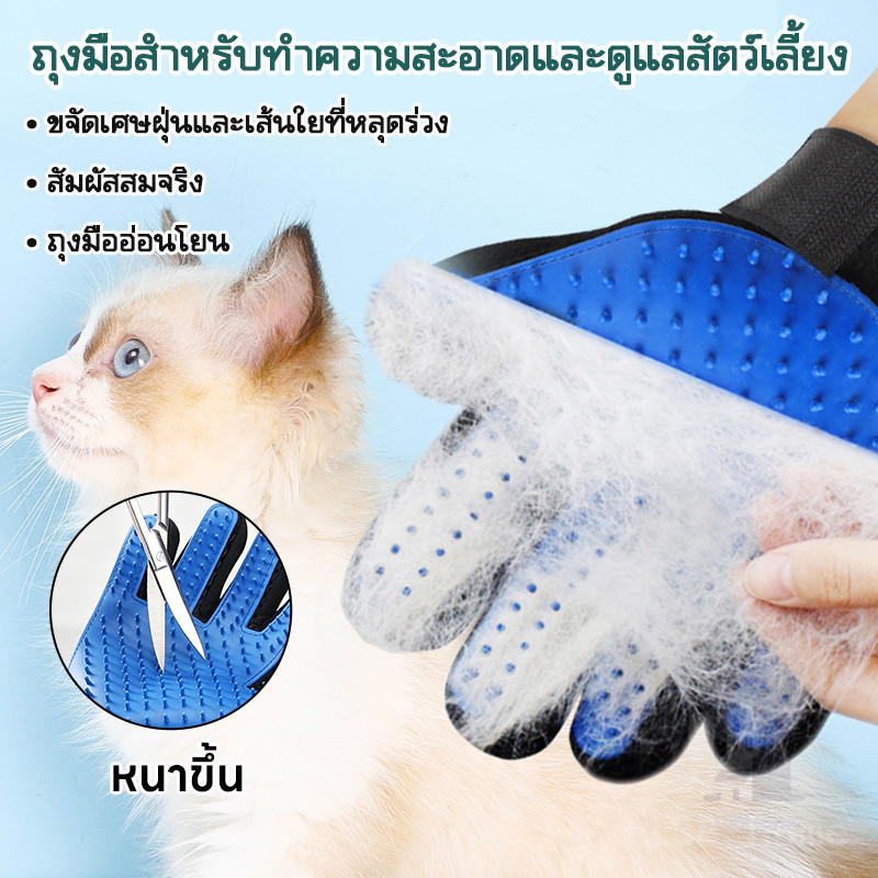 ถุงมือแปรงขนสัตว์เลี้ยง ถุงมือแปรงขน ถุงมือแปรงขน ถุงมือนวดขนรวบขนง่าย ไม่เจอผิวสัตว์เลี้ยง