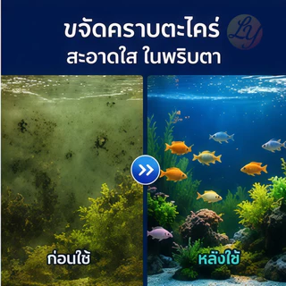 แปรงทำความสะอาด แปรงขัดกระจกตู้ปลา แปรงตู้ปลา เอี่ยมๆ ขัดกระจก ขัดตะใคร่ ใช้งานได้ทั้งสองด้าน Fish Tank Cleaning Brus