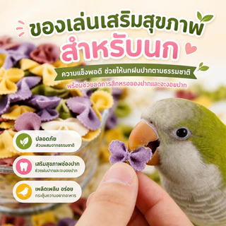 อาหารนกแก้ว อาหารนกผักและผลไม้ขนมขบเคี้ยวฟันกราม คุกกี้ของว่างสำหรับนกแก้ว กรอบอร่อย รางวัลการฝึกซ้อม 200g
