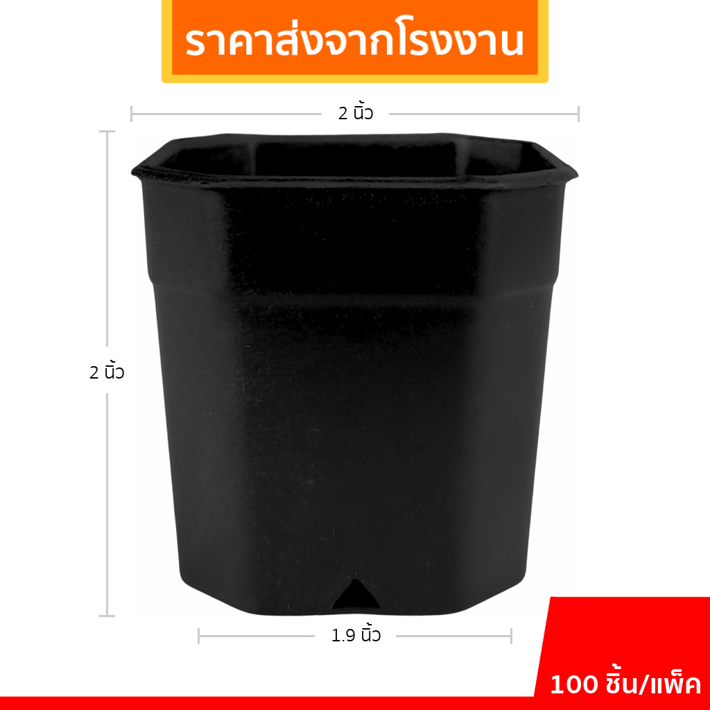 กระถาง 8 เหลี่ยม กระถางแคคตัส กระบองเพชร 2 นิ้ว สีดำ 100 ใบ ชิ้น อัน