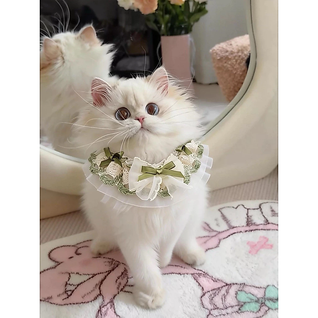 COD🐶🐱ผ้าพันคอแมว ผูกโบว์ ปลอกคอสัตว์เลี้ยง เอี๊ยม พิมพ์ลายลูกไม้ ประดับ แมวนางฟ้า ผ้าพันคอสุนัข ผ้าพันคอถัก