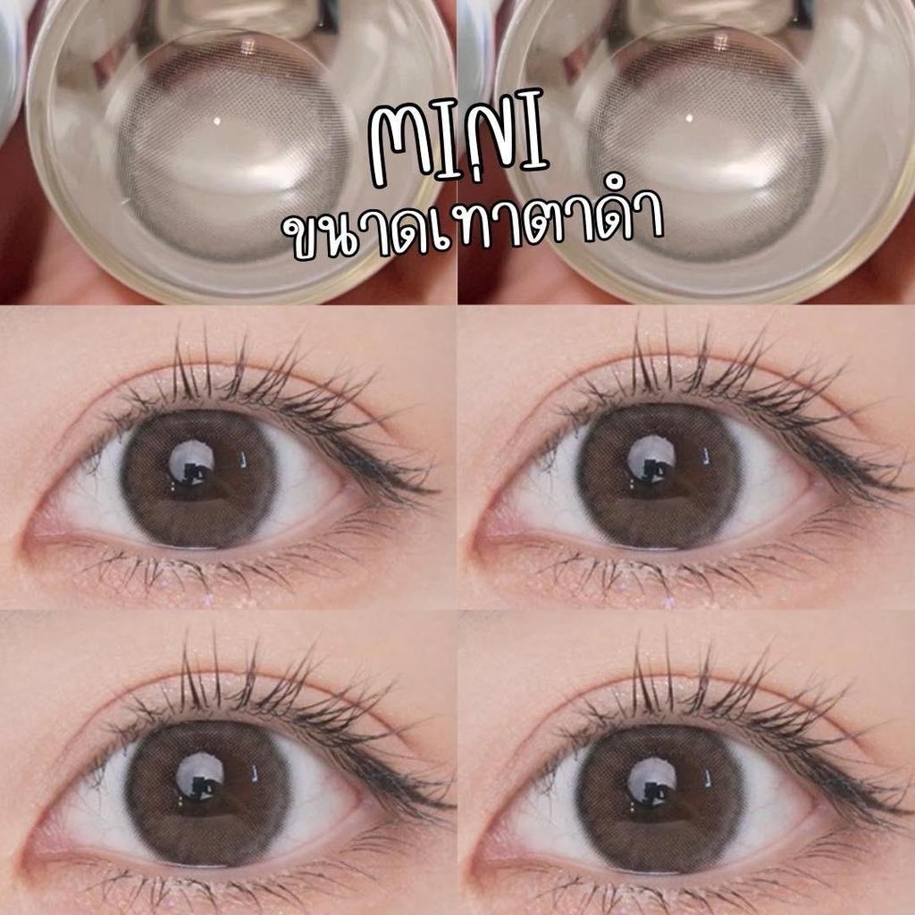 Swt basil Gray Size Mini คอนแทคเลนส์กรองแสงuv เลนส์แท้จดทะเบียนถูกต้อง ผ่านอย.ไทย Contactlens