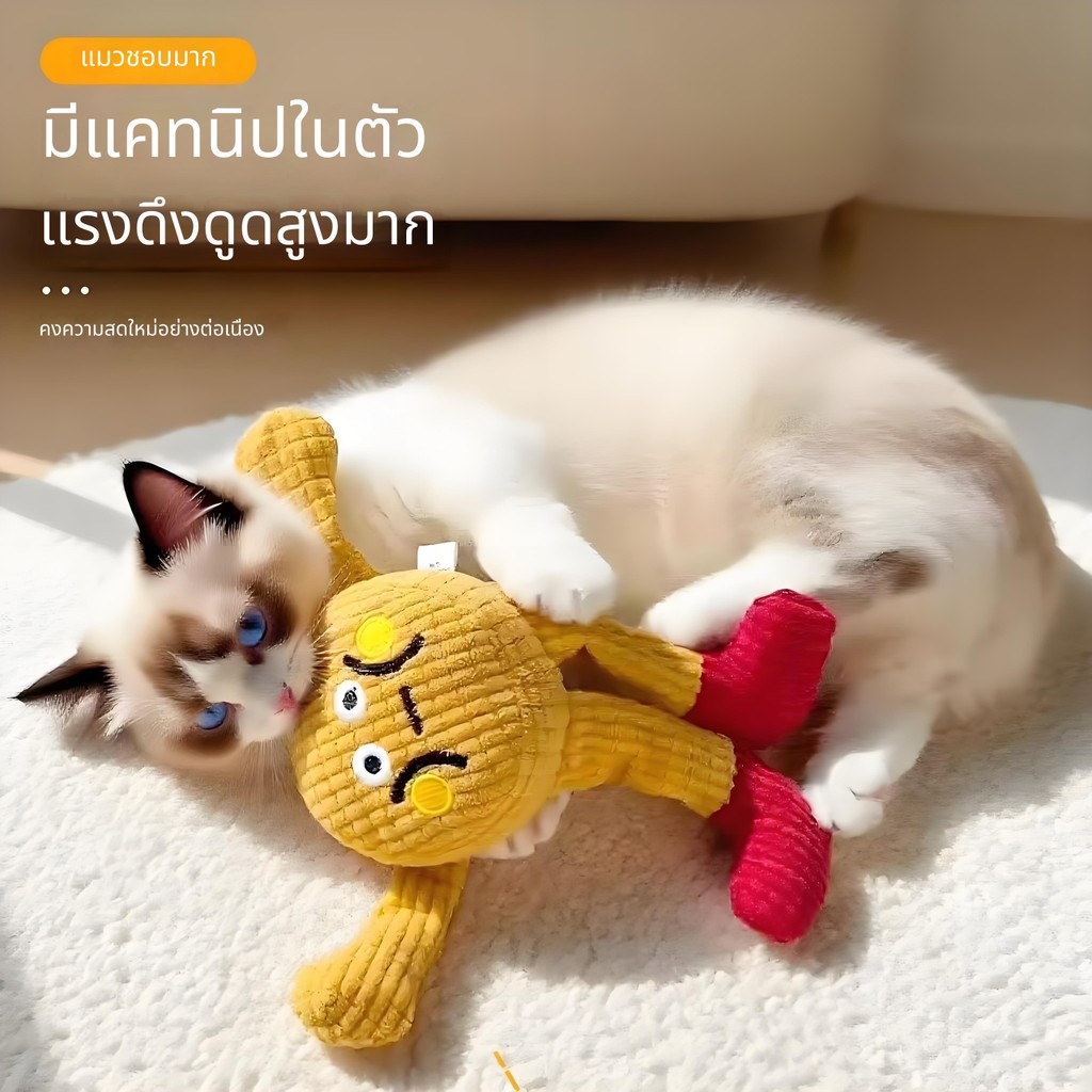ของเล่นแมว กระดาษเสียง Sounding Molar Plush วาฟเฟิลสัตว์เลี้ยงสุนัข Catnip Self-Happy ของเล่นแมว