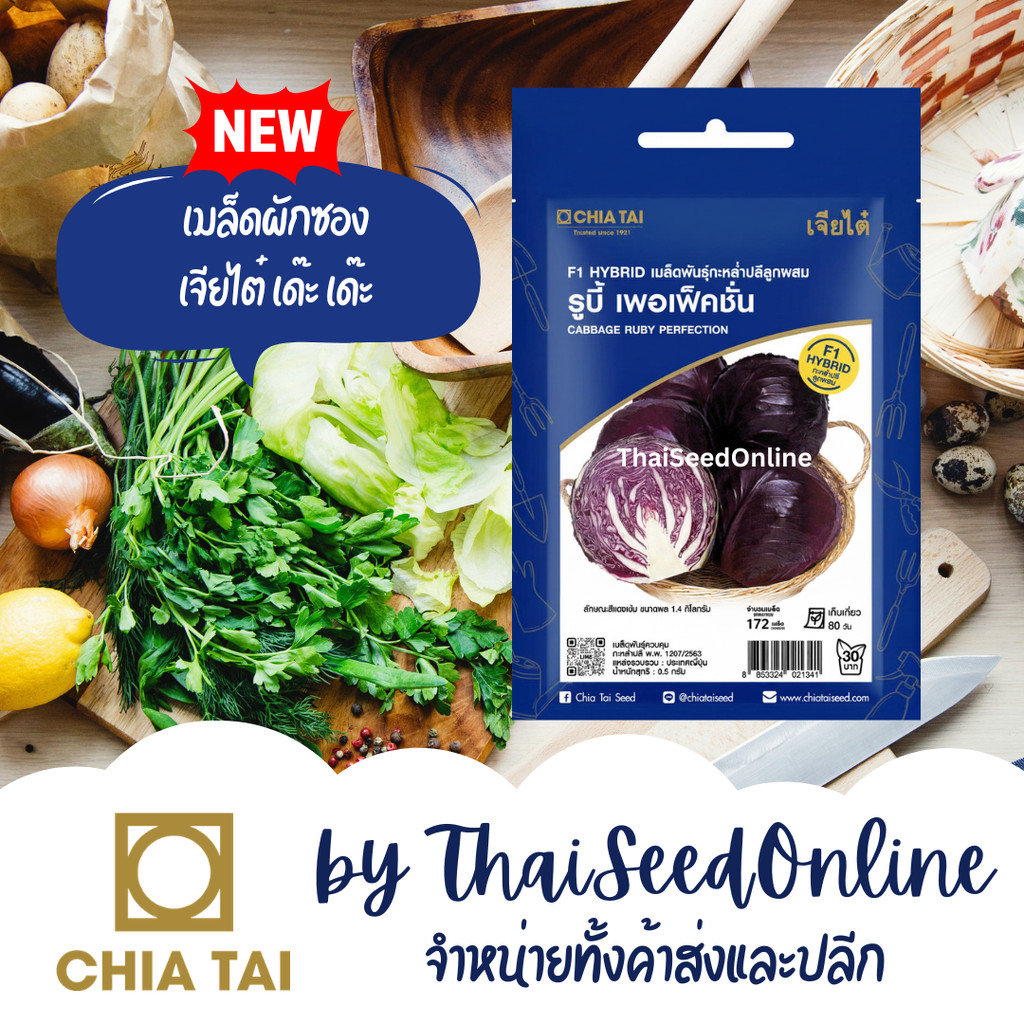 CTSE เมล็ดพันธุ์ กะหล่ำปลี รูบี้ เพอเฟ็คชั่น 0.5 กรัม ตราเจียไต๋ Cabbage Ruby Perfection