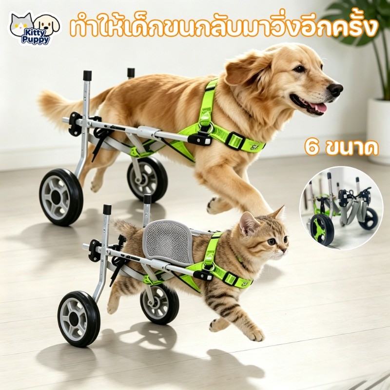 รถเข็นสัตว์เลี้ยง ปกรณ์ช่วยฟื้นฟู  วัสดุอลูมิเนียม ปรับขนาดได้  แข็งแรง ทนทาน  สุนัข/แมวที่ขาหลังอ่อนแอ  ﻿
