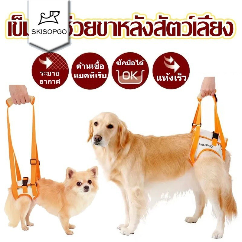 SKISOPGO เข็มขัดช่วยขาหลังสัตว์เลี้ยง ผ้าพยุงสุนัข ใส่ได้นาน ผ้าเบา ระบายอากาศดี พยุงหลัง สำหรับน้องหมากลาง