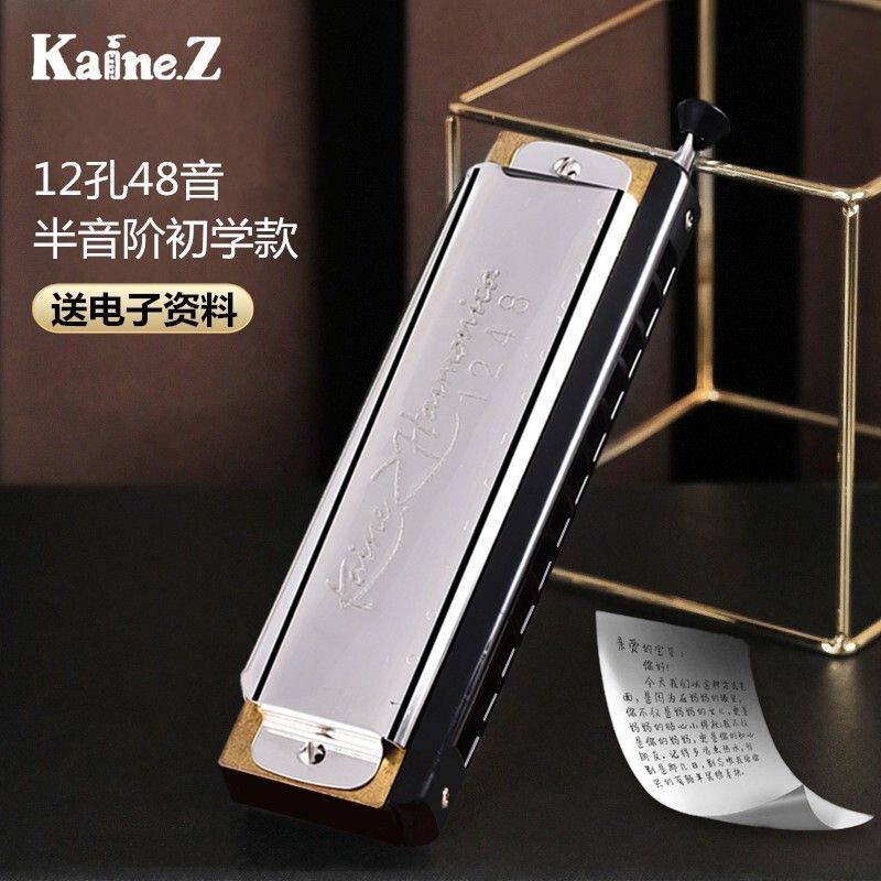 Kaine Z Kaine 12 หลุม Chromatic Harmonica ผู้ใหญ่เริ่มต้นเริ่มต้นเริ่มต้น Filmless Chromatic C-Tunni