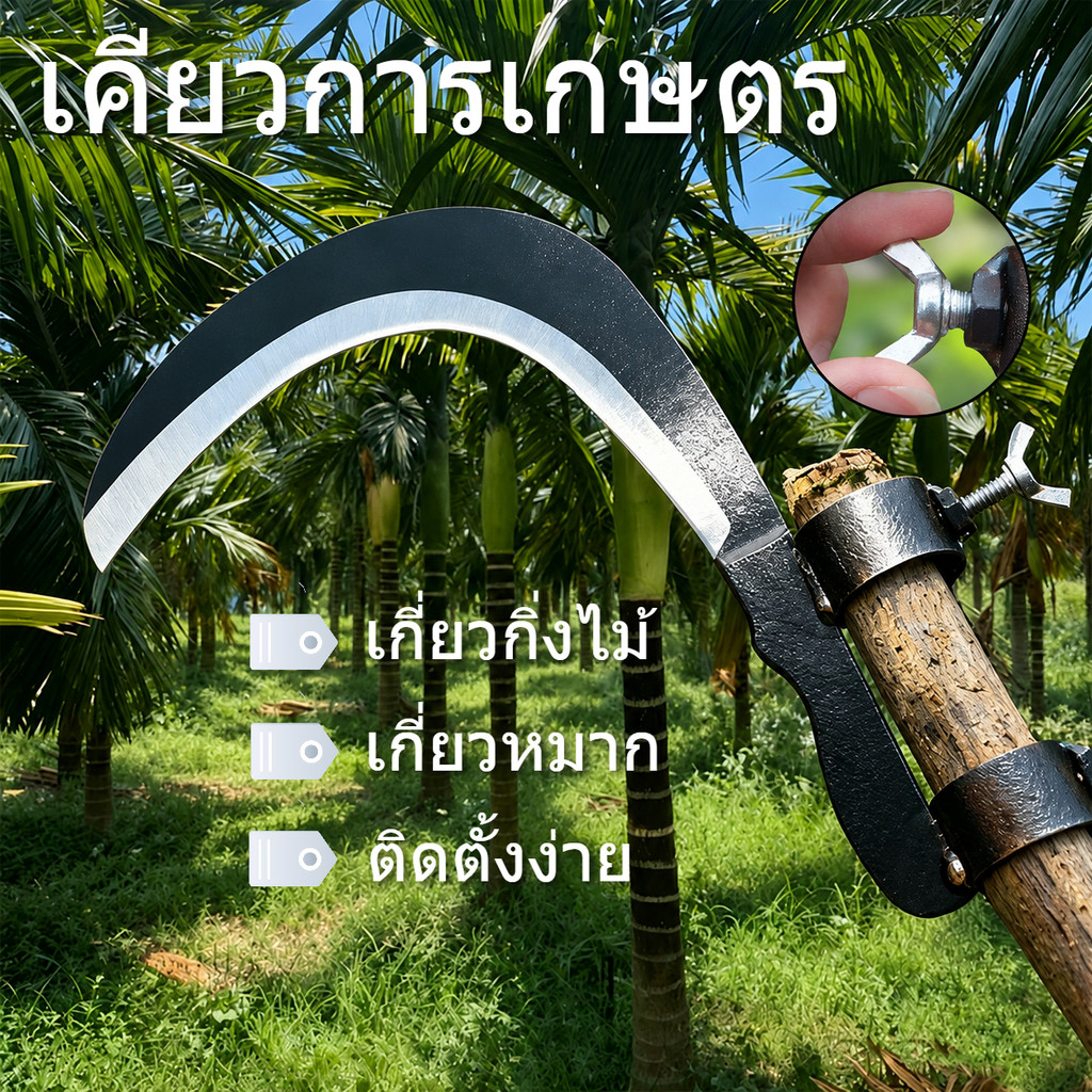 เคียวการเกษตร มีดขอ เก็บผลไม้บนที่สูง ไม่ต้องปีนไม่ต้องก้มตัว ประหยัดแรง (พร้อมจัดส่ง)