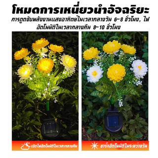 ไฟโซล่าเซลล์ LED รูปดอกบัวหิมะ 7 ดวง กันน้ำระดับIP65 ระบบเปิดปิดอัจฉริยะอัตโนมัติ เหมาะตกแต่งสวนและสนามหญ้า
