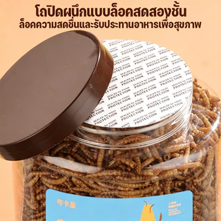 หนอนอบแห้ง แฮมเตอร์ หนอนอาหาร อาหารชูก้า โปรตีนสูงคุณภาพสูง ดูดซึมสารอาหารได้ดี อาหารหนูแฮมเตอร์