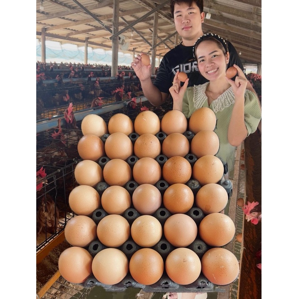 ไข่ไก่ เบอร์0 สดใหม่จากฟาร์ม เลี้ยงเองส่งฟรี