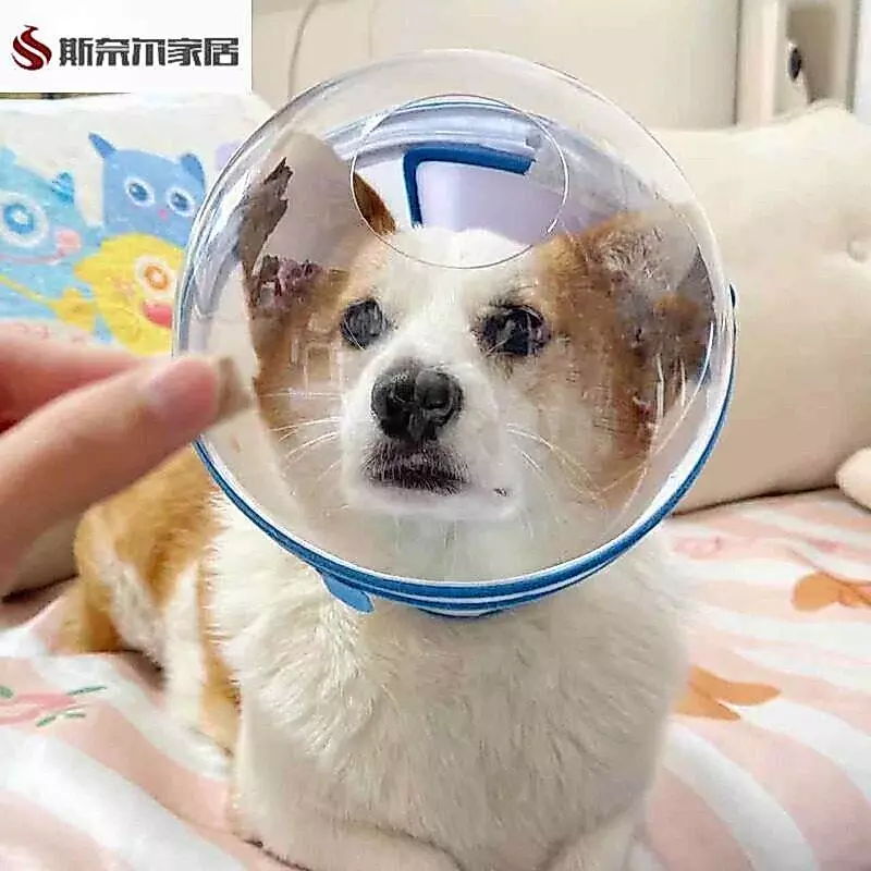 หมวกกันเลีย ปลอกคอกันเลีย สุนัข Space Headgear 20260523