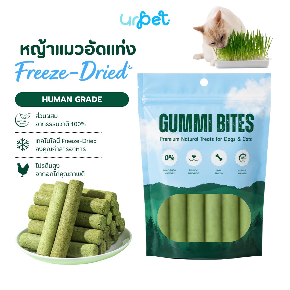 หญ้าแมวอัดแท่ง Freeze-Dried 60g  ไม่ใส่สีผสมอาหาร ขนมแมว GUMMI BITES