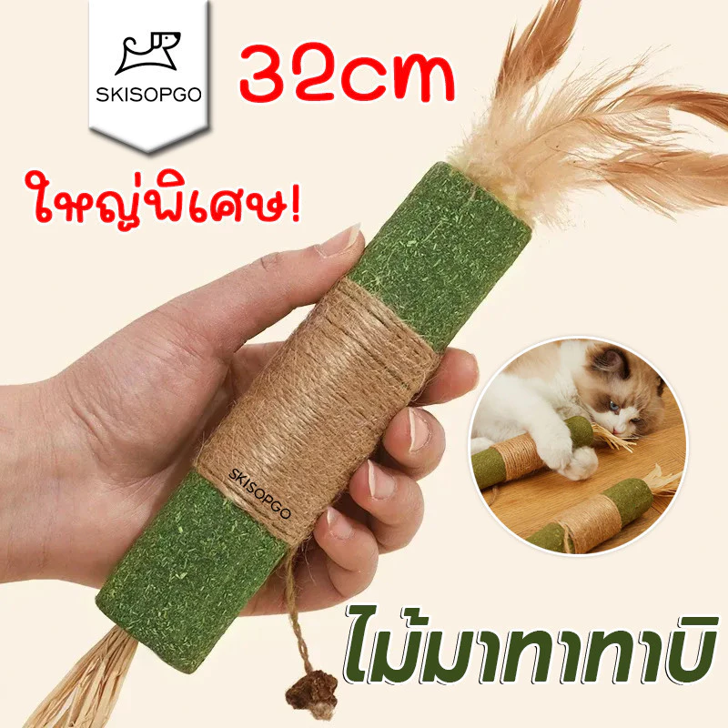 SKISOPGO(30/21CM) ใหญ่พิเศษ ไม้มาทาทาบิ ขัดฟันไม้ ไม้ขัดฟันแมว ของเล่นแมว ก้านมาทาทาบิ ไม้แปรงฟันแมว