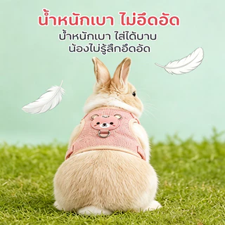 สายจูงกระต่าย เชือกลากกระต่าย เฉพาะสำหรับพากระต่ายออกเดิน ป้องกันหลุดหนี ทนต่อการกัด