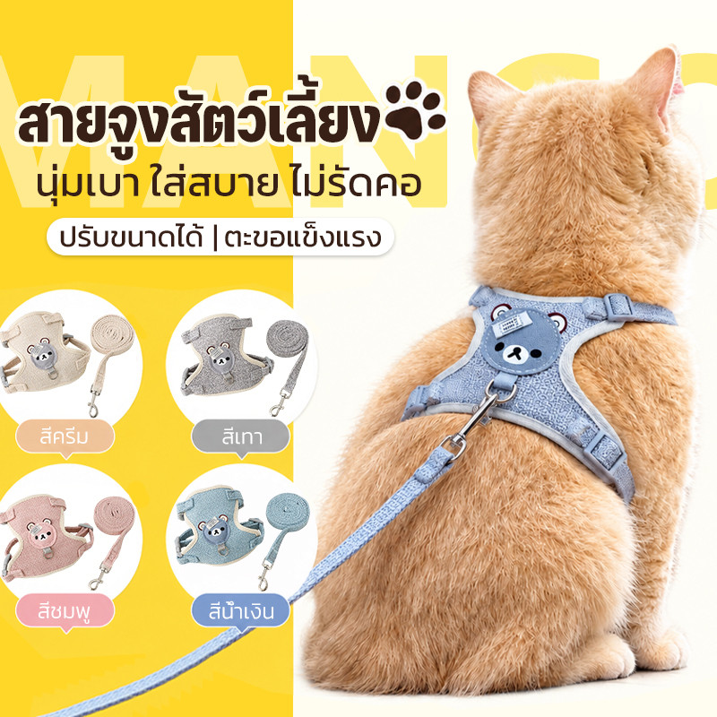 Mango สายจูงสัตว์เลี้ยง เสื้อกั๊ก พร้อมเชือกจูง ลายการ์ตูนหมี สายจูงแมวรัดอก จูงหมา สําหรับสัตว์เลี้ยง