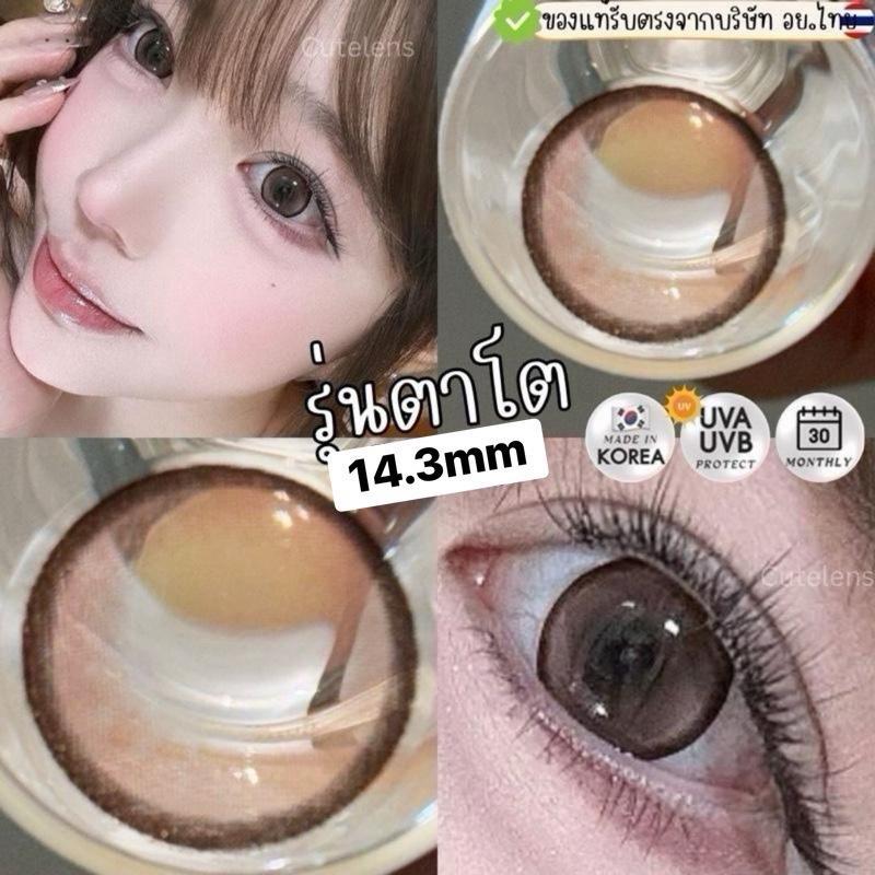 Brown รุ่นตาโต 14.3mm เลนส์ไฮโดรเจล นิ่มใส่สบาย คอนแทคเลนส์ไทย รายเดือน คอนแทคเลนส์สีน้ำตาลตาโต
