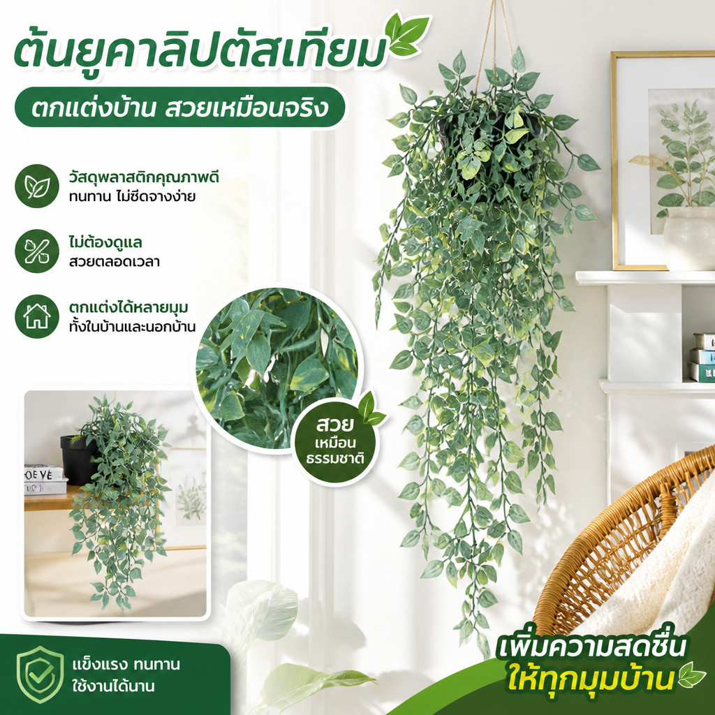 COD ต้นยูคาลิปตัสเทียม ต้นไม้เลื้อยแขวน ถั่วลันเตา กระถางแขวน ตกแต่งบ้าน ผนัง สวนสวยงาม