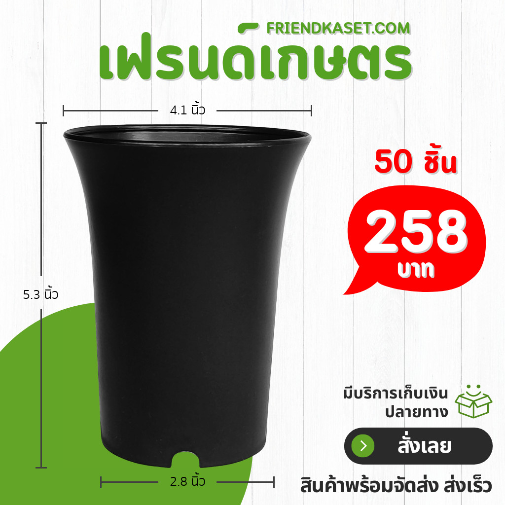 กระถางปากแตร กระถาง กระถางไม้กราฟ ทรงสูง 4 นิ้ว 50 100 ใบ สีดำ ยกมัด
