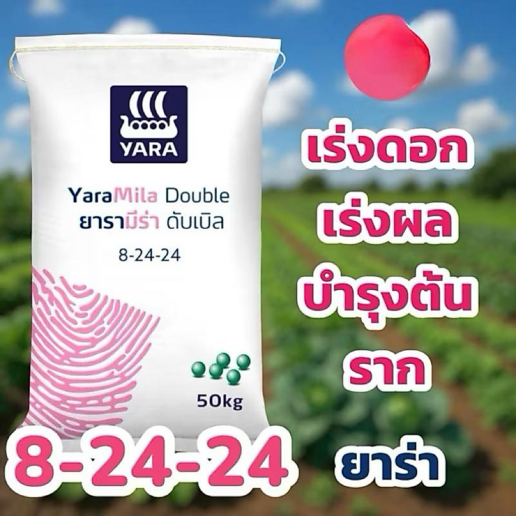 ปุ๋ยเคมีสูตร 8-24-24 ยาร่ามีร่า บรรจุ 5 กิโลกรัม