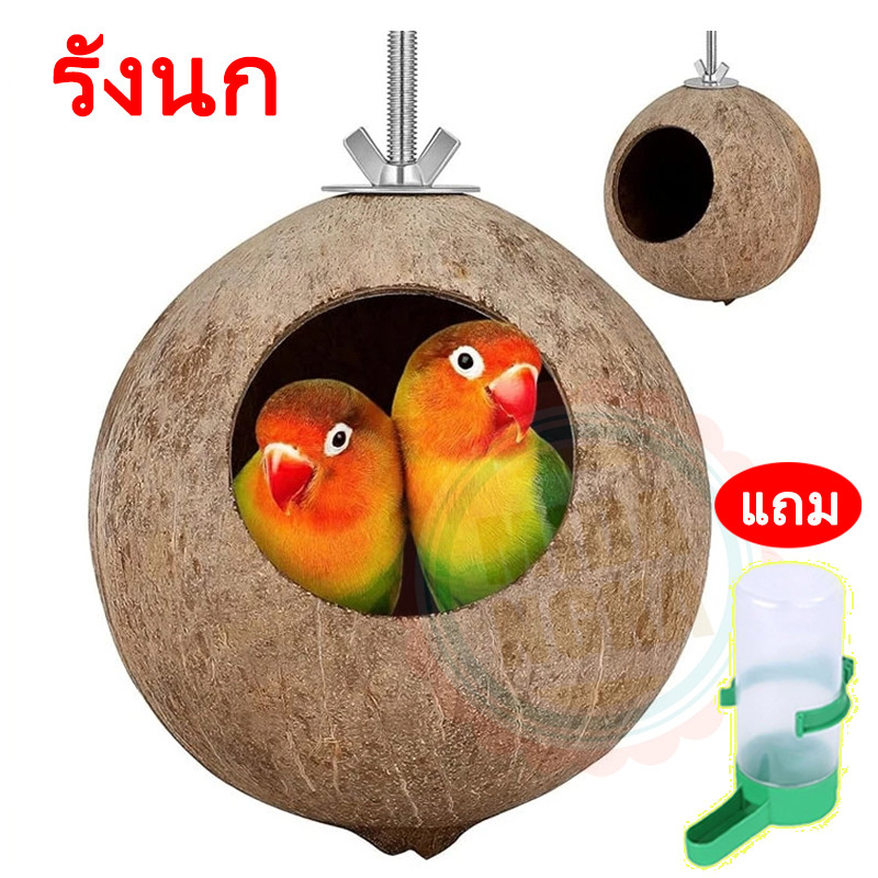 บ้านนก บ้านนกแก้ว ฟอพัส หงษ์หยก เลิฟเบิร์ด ค๊อกคาเทล กรีนชีค รังนก ที่นอนนก ทำจากมะพร้าวธรรมชาติ100% แข็งแรง ล้ำน้ำได้