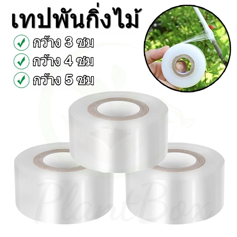 เทปพันกิ่งไม้ เทปพันกิ่งทาบ เทปพันตา PE กันน้ำ กันเชื้อรา รักษาความชื้น เพิ่มโอกาสรอดสูง หนาเหนียว 3-5 ซม พร้อมส่งจากไทย