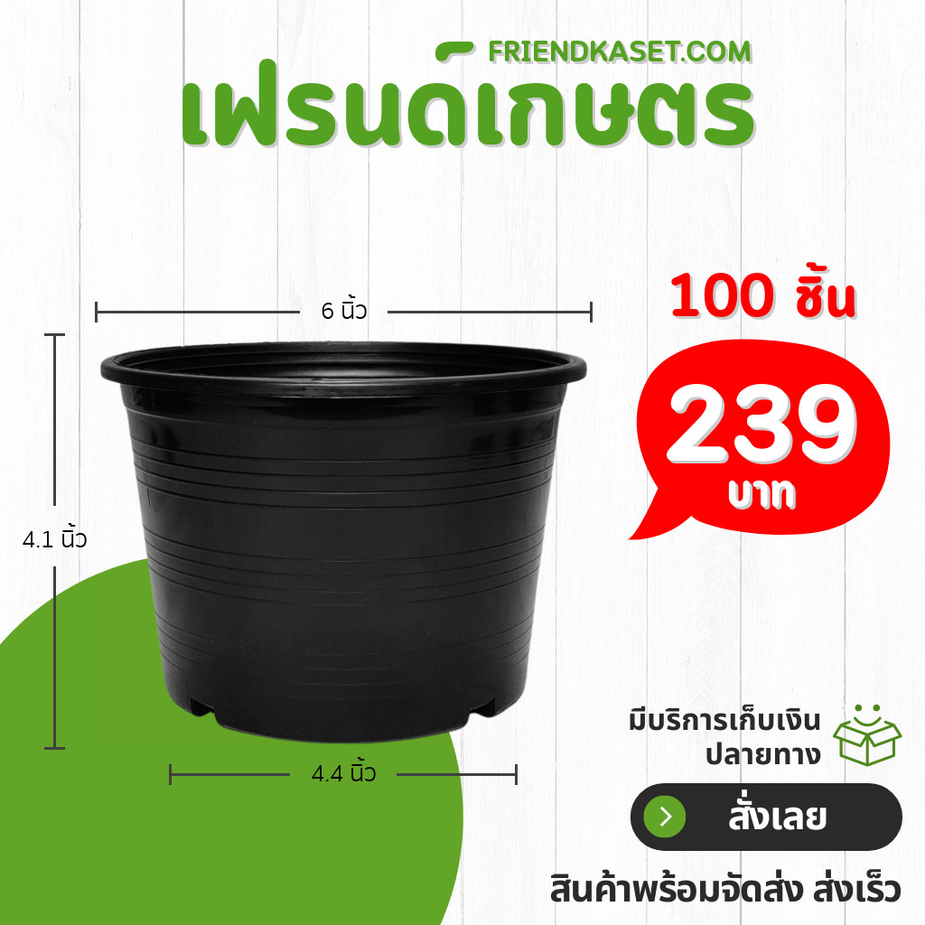 กระถาง กระถางต้นไม้ กระถางพลาสติก เบอร์ 6 นิ้ว สีดำ 100 ใบ ยกมัด