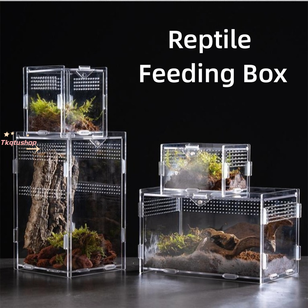 IMIHAN1 สัตว์เลื้อยคลาน Habitat, อะคริลิคหลายขนาด Lizard Breeding Box, ทนทาน Anti-Escape Arboreal กรงสัตว์เลี้ยงขนาดเล็กสําหรับแมงป่อง