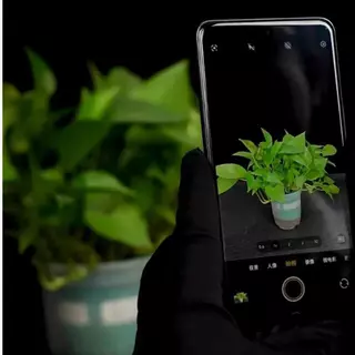 ส่งจากไทย ฟิล์มกล้อง ใส สำหรับ Xiaomi 17T 17TPro ฟิล์มกันรอยเลนส์กล้อง ตัวป้องกันเลนส์กระจกนิรภัย ฟิล์มกล้องหลังแบบใส